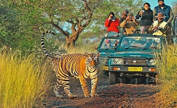 7 Days Golden Triangle Tour With Ranthambore Tiger Safari